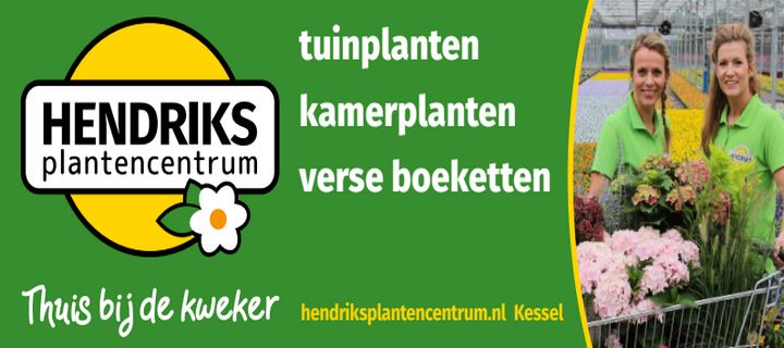 sponsor